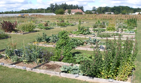 Les Conseils De Jardinage Du Mois D Avril Terre Et Jardin