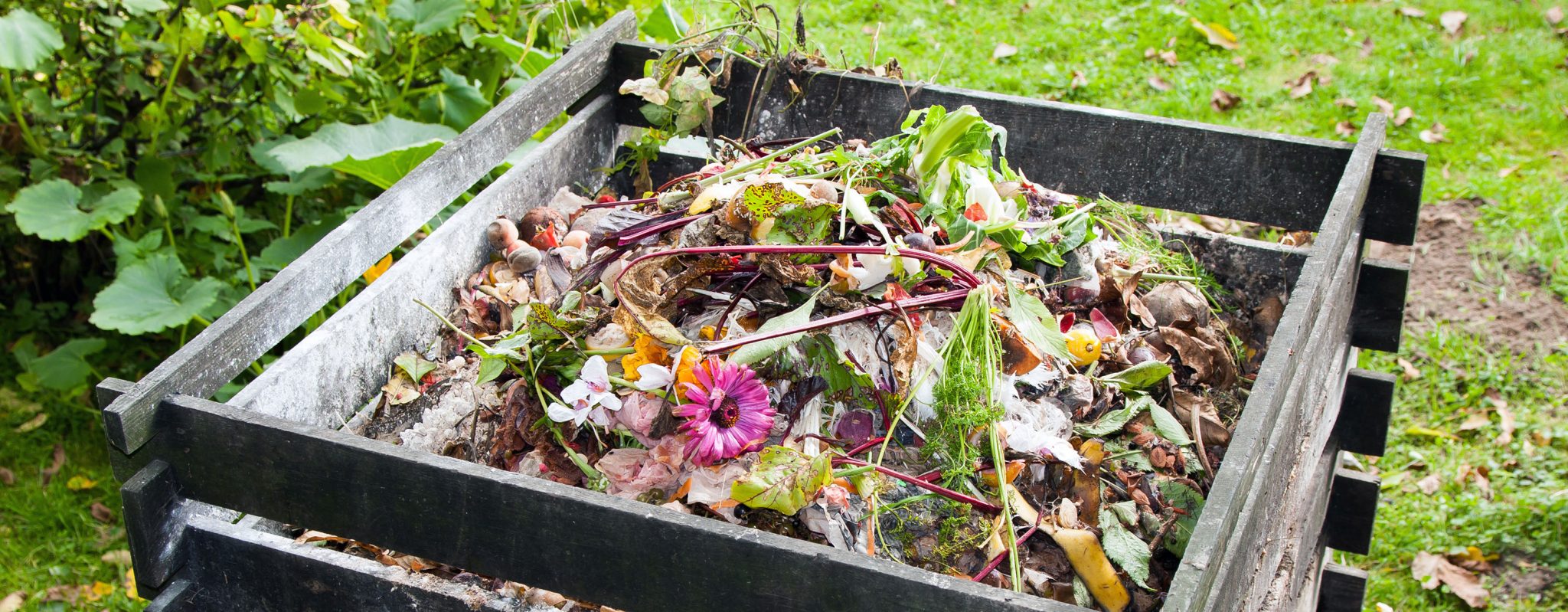 Terre et Jardin | Le Blog du jardinage et des jardiniers